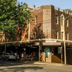 Darlo Bar Darlinghurst